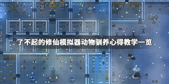 玩咖