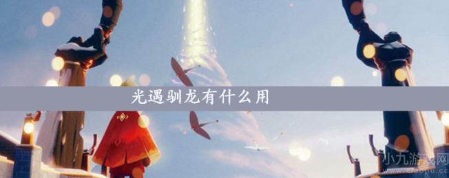 光遇驯龙有什么用处