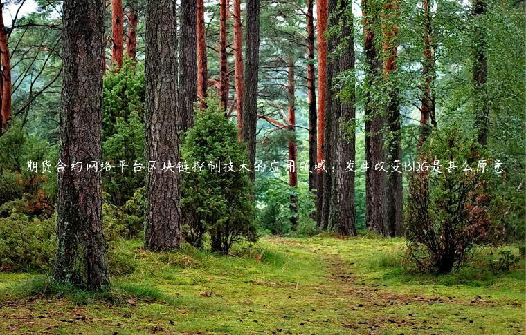 期货合约网络平台区块链控制技术的应用领域：发生改变BDG是甚么原意