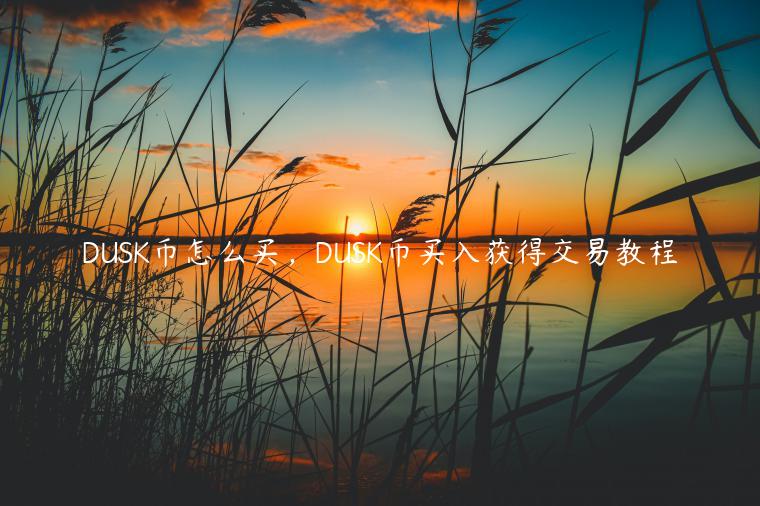 DUSK币怎么买，DUSK币买入获得交易教程