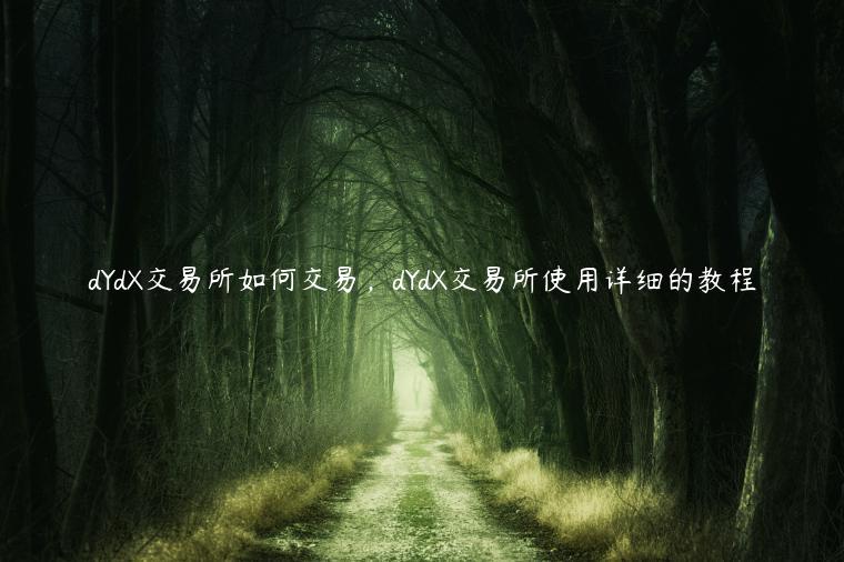 dYdX交易所如何交易，dYdX交易所使用详细的教程