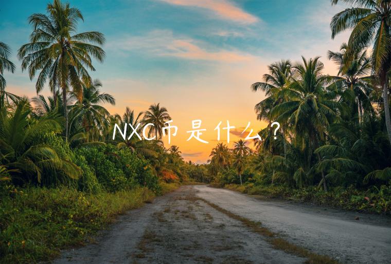 NXC币是什么？