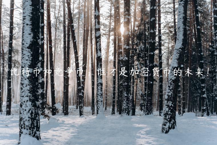 比特币和竞争币：谁才是加密货币的未来！