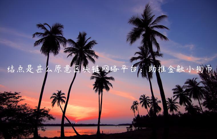 结点是甚么原意区块链网络平台：助推金融小狗币