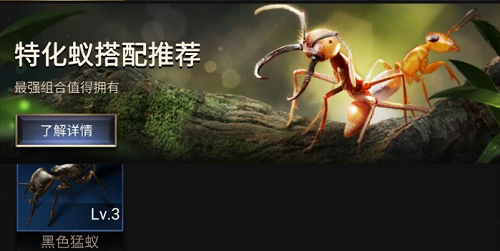小小蚁国特化蚁阵容搭配策略