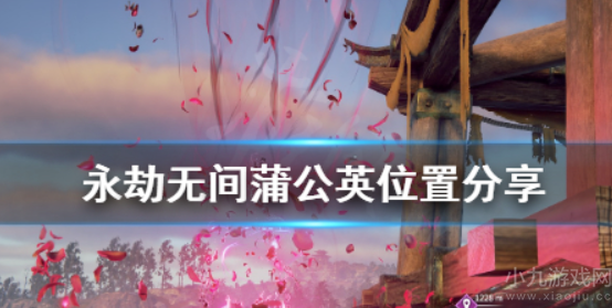 永劫无间蒲公英哪里多