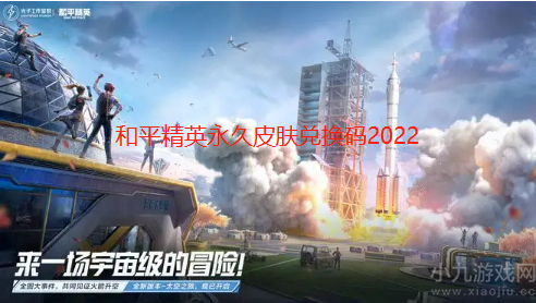 和平精英永久皮肤兑换码2022