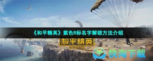 《和平精英》紫色R标名字解锁玩法介绍