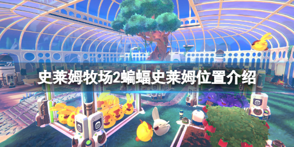 《史莱姆牧场2》蝙蝠史莱姆在哪？蝙蝠史莱姆位置介绍
