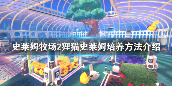 《史莱姆牧场2》狸猫史莱姆怎么养？狸猫史莱姆培养方法介绍