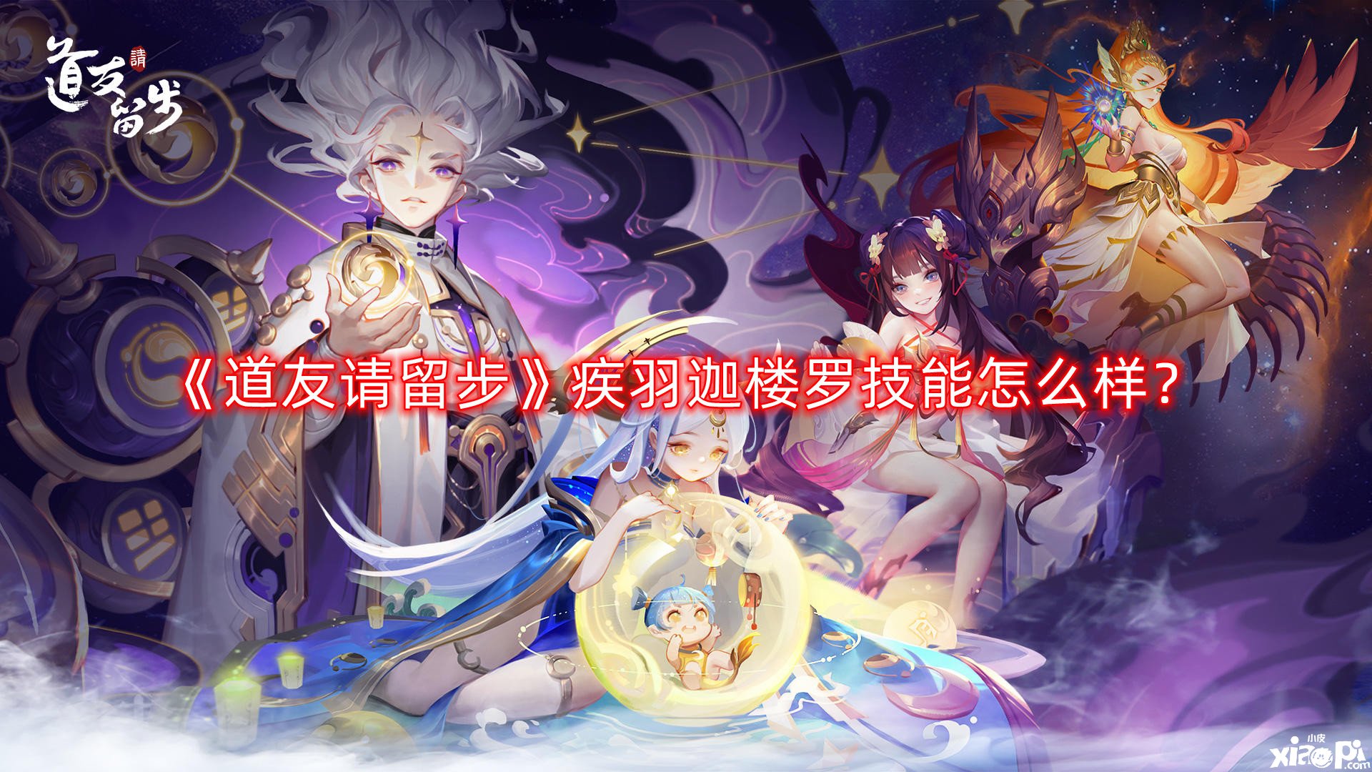 道友请留步疾羽迦楼罗技能怎么样