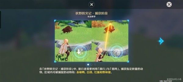 本站