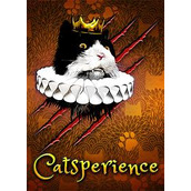 Catsperience