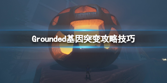 《禁闭求生》Grounded基因突变攻略技巧 基因突变怎么获得？