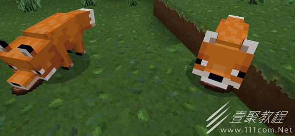 我的世界狐狸如何驯服