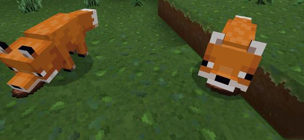 我的世界狐狸怎么驯服