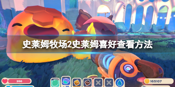 《史莱姆牧场2》养什么史莱姆好？史莱姆喜好查看方法介绍
