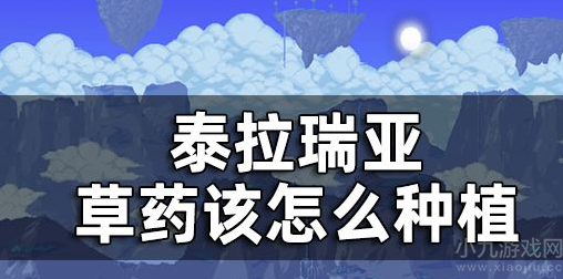 泰拉瑞亚草药种植攻略