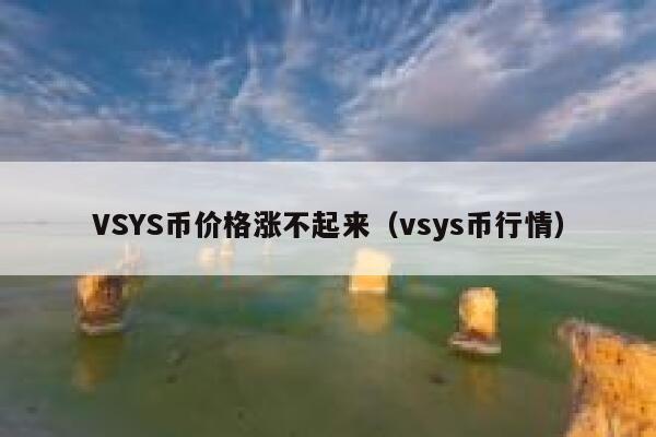 VSYS币价格涨不起来（vsys币行情）-第1张图片-坲魔头网