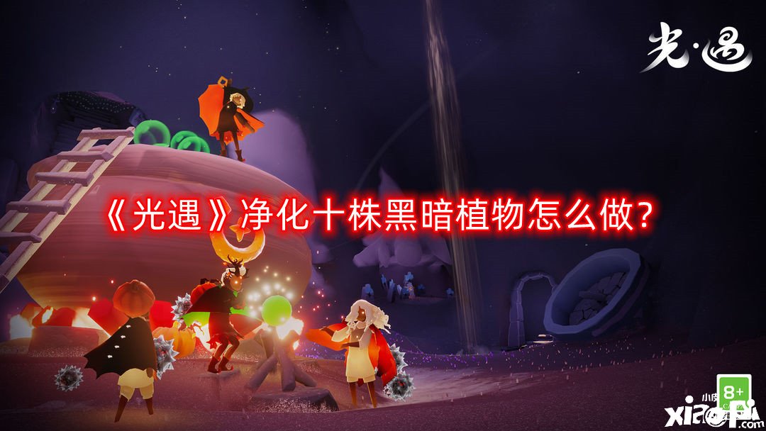 光遇净化十株黑暗植物怎么做