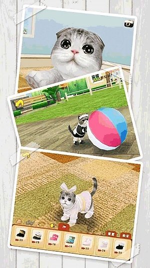 模拟宠物店养成官方版