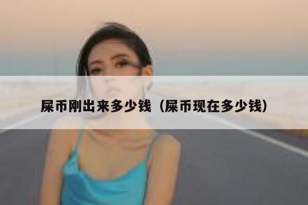 屎币刚出来多少钱（屎币现在多少钱） 第1张
