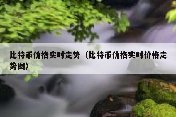 比特币价格实时走势（比特币价格实时价格走势图） 第1张