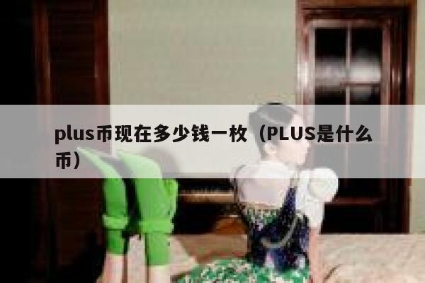 plus币现在多少钱一枚（PLUS是什么币）-第1张图片-坲魔头网