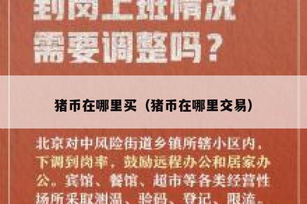 猪币在哪里买（猪币在哪里交易） 第1张