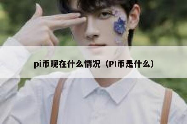 pi币现在什么情况（PI币是什么） 第1张
