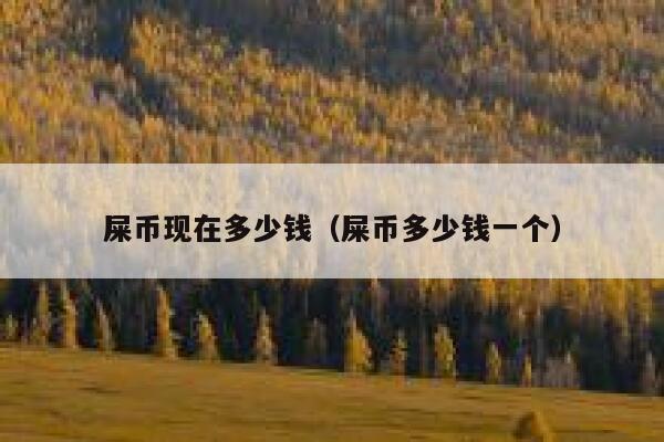 屎币现在多少钱（屎币多少钱一个） 第1张