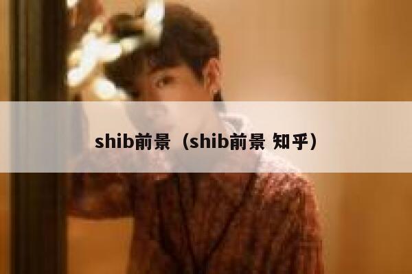 shib前景（shib前景 知乎） 第1张