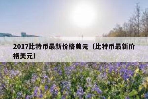 2017比特币最新价格美元（比特币最新价格美元） 第1张