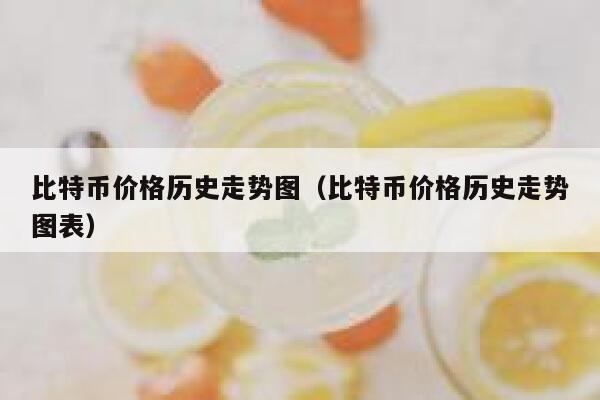 比特币价格历史走势图（比特币价格历史走势图表） 第1张