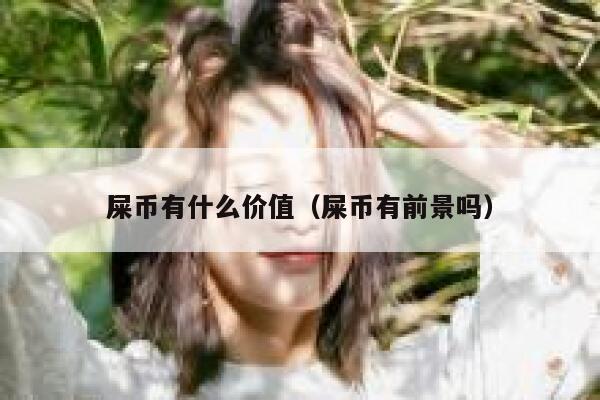 屎币有什么价值（屎币有前景吗） 第1张