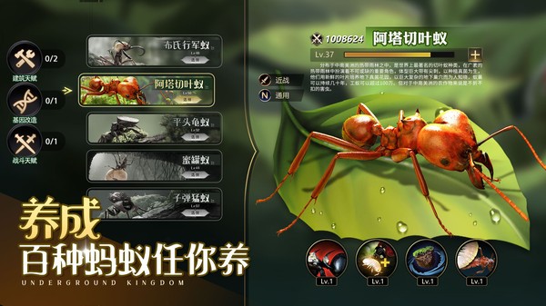 小小蚁世界游戏