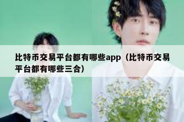 比特币交易平台都有哪些app（比特币交易平台都有哪些三合） 第1张