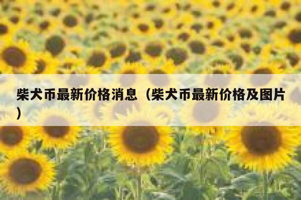 柴犬币最新价格消息（柴犬币最新价格及图片） 第1张