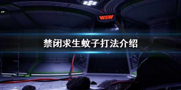 《禁闭求生》蚊子怎么打？蚊子打法介绍