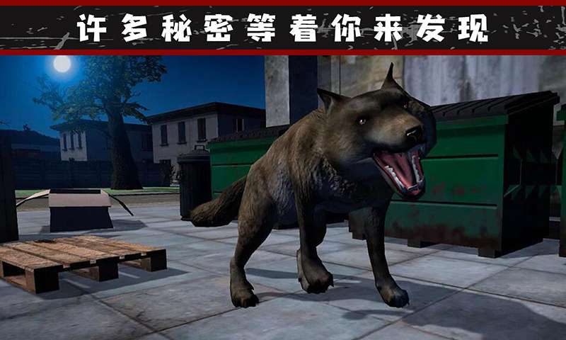 我的流浪生涯下载