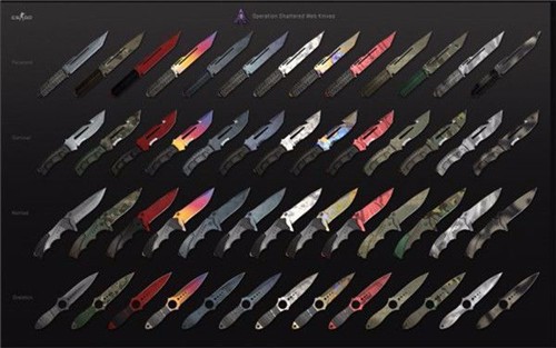 CSGO裂网大行动