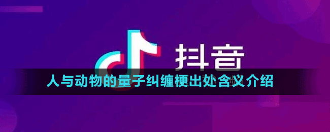 人与动物的量子纠缠梗出处含义介绍