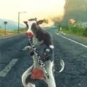 真实战场枪械模拟器最新版