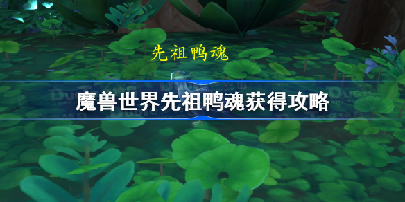 魔兽世界先祖鸭魂获得攻略-魔兽世界10.0先祖鸭魂宠物怎么获得