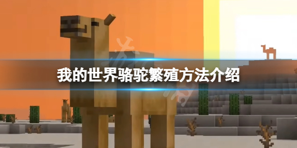 《我的世界》骆驼怎么繁殖？骆驼繁殖方法介绍