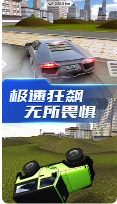 拉力赛车手冲刺游戏