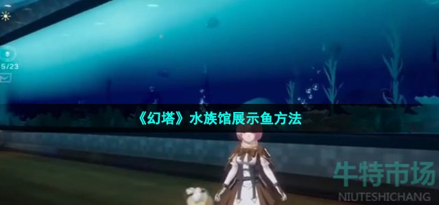 幻塔鱼怎么展示-水族馆展示鱼方法