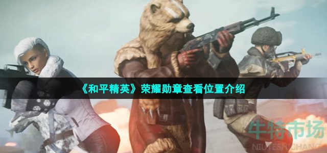 和平精英荣耀勋章在哪里看-荣耀勋章查看位置介绍