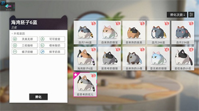 2022猫之城兑换码大全？2022猫之城兑换码汇总