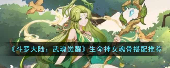 斗罗大陆武魂觉醒生命神女魂骨怎么搭配-生命神女魂骨搭配推荐